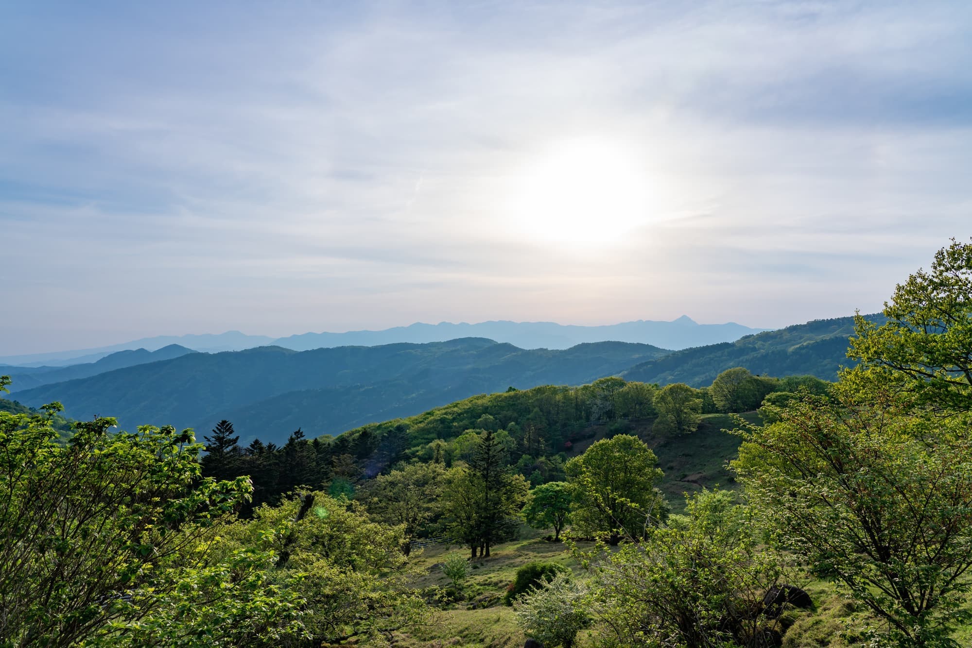 pxt00006294277802.jpg